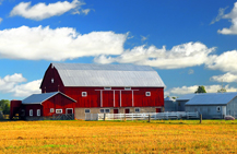 Farm Umbrella Insurance
Farm Umbrella Insurance